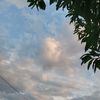 yu.rn84830