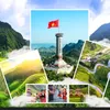 taynguyentravel.kt
