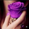 user38810750998881