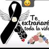 leito_924