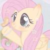 flutters_sshy