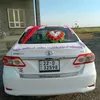 user5554620369835