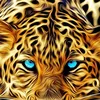 user8701681133690