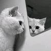 mr_omi_b