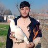fazal.muneer8