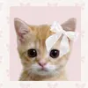 sophia_cats1234