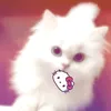 quynwen_