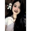 .cipittt