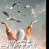 user6280678803818