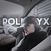 polinvyx