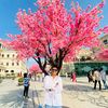 netra_magar_