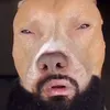 dyan.secret.dih