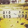 515yudvh