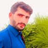 wahid.bux790