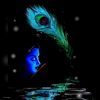 manishgupta3155