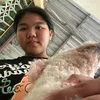 h.anh.phan85