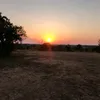 yotunim