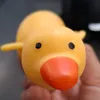 the_flying_duck.1