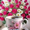 abdisaa7106