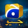 geotv313
