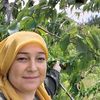 27meral