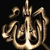 samad.samad562