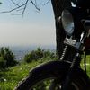 paniker_g