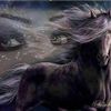 yaseen.7adi