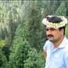 qamar4356