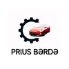 prius_servis_berde