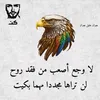 as__4_g