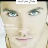 user760041
