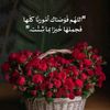 user5034033804469
