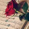 oumo.adam6