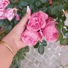 dounia__doda