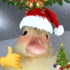 ana672451