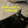 samakarizzler