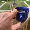 chefjeyt885
