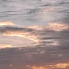 serenity_hazel