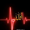 user53702758605154