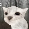 thelolman66