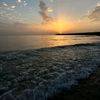fatimashhade34