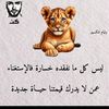 alfkhry71
