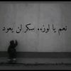 nourhan5221