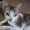 nataly_8544