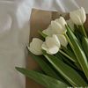 dini_8973