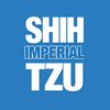 ShihTzuImperial