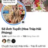 Hoa Và Tráp Hải Phòng ( 海防花店)