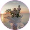 alon25528