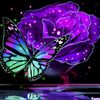 user96120059207754